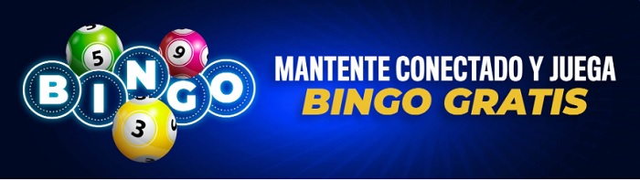 bingo casino rushbet bingo casino rushbet